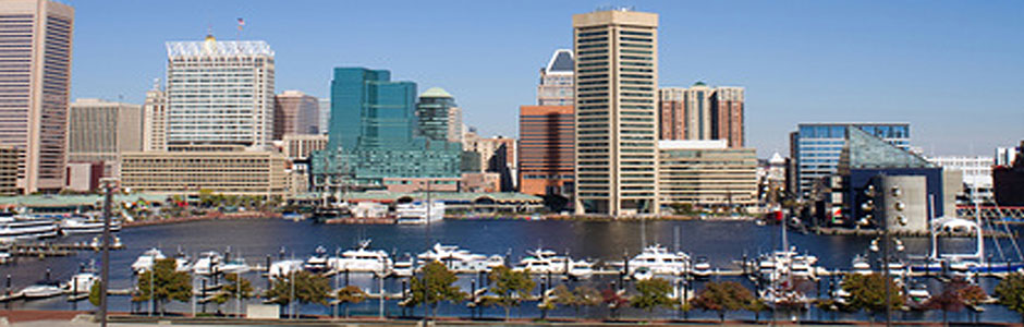 dinovitz law locations